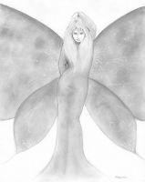 Black Butterfly